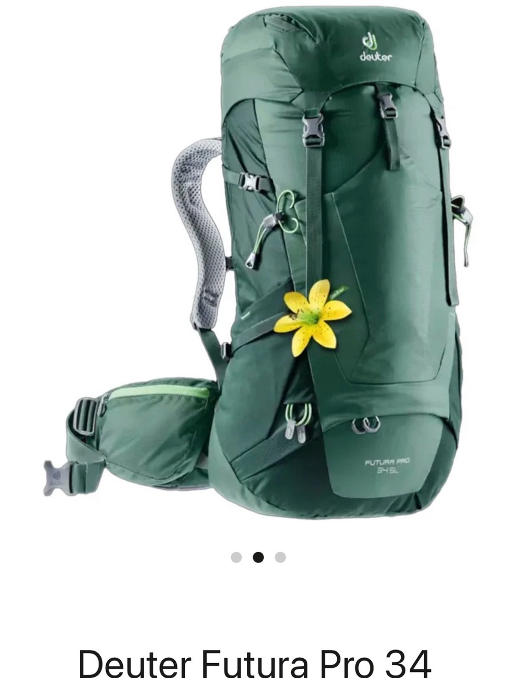 Deuter Futura Pro 34 Women's Backpack in Forest Green